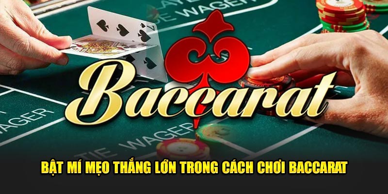 Bật mí mẹo thắng lớn trong cách chơi Baccarat