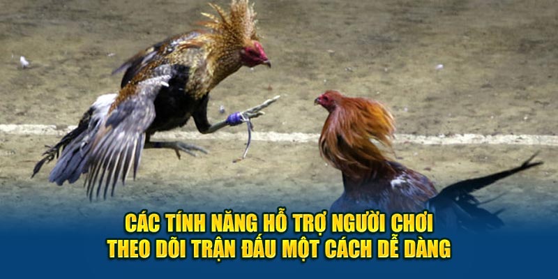 Các tính năng hỗ trợ người chơi theo dõi trận đấu một cách dễ dàng.