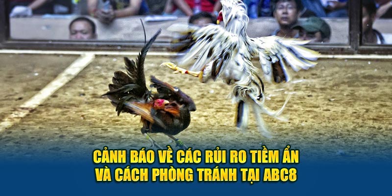 Cảnh báo về các rủi ro tiềm ẩn và cách phòng tránh tại ABC8