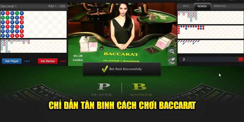 Chỉ dẫn tân thủ cách chơi baccarat hiệu quả